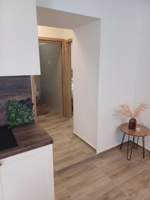 Central Vita Apartment Rijeka Exterior foto